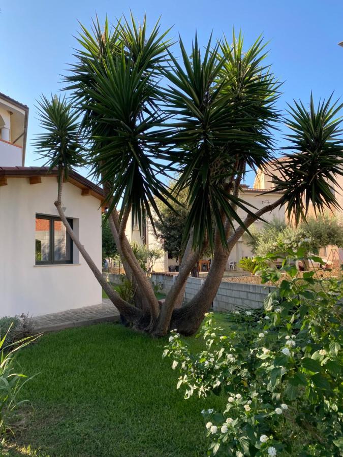 Il Pepe Rosa Bed & Breakfast Posada  Luaran gambar